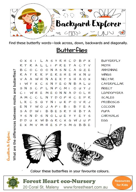 young butterfly word hike|Young butterfly .